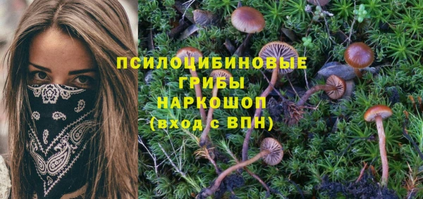 бутират Каменногорск