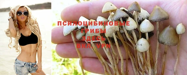 бутират Каменногорск